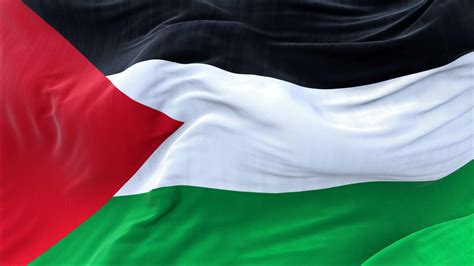 Palestine .